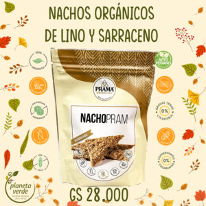 Nachos Orgánicos de Sarraceno y Lino dorado